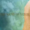 Nature Sounds - The Sound of Nature